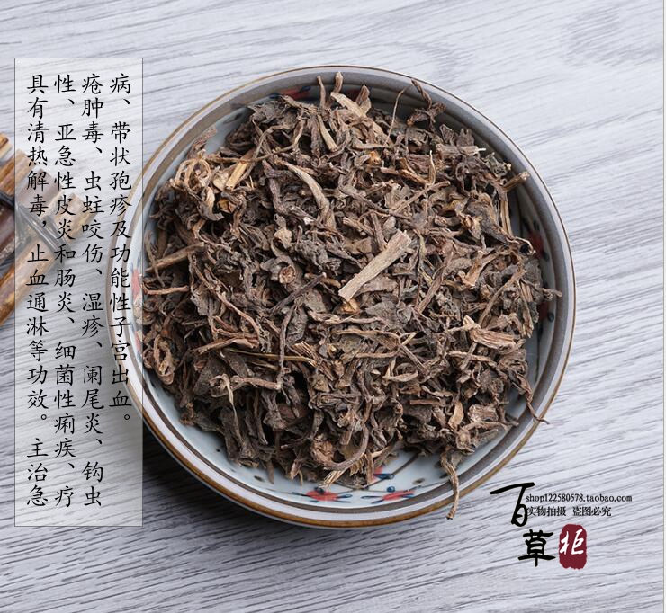 野生中药材 马齿苋 野菜马齿笕 免费打粉马齿菜五行草长命菜500克