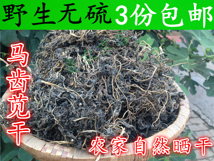 马齿苋野生马齿苋干 马齿菜干 蚂蚱菜干 五行草干 长寿菜干 250g