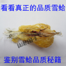 山滋情 雪蛤膏 雪哈油 长白山雪蛤油联体油 蛤蟆油 林蛙油 雪蛤