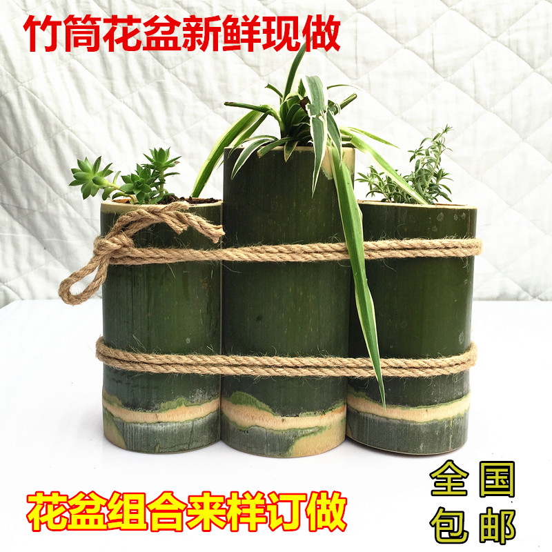 竹筒竹制品多肉植物花盆毛竹花器定做竹花盆悬挂立式组合竹子花盆