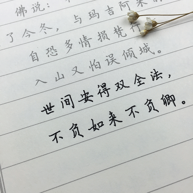 成人练字帖楷书硬笔书法临摹字帖簪花小楷钢笔字帖仓央嘉措诗词