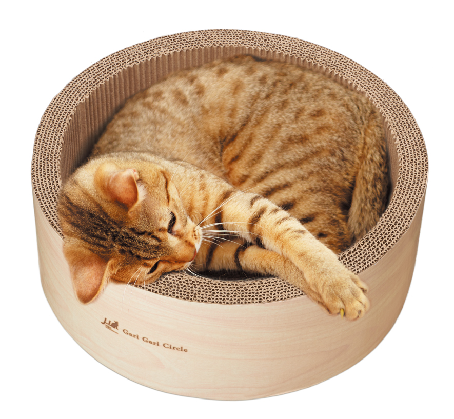 正品[木天蓼]木天蓼对猫的作用评测 木天蓼爆弹