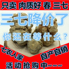 包邮 云南文山春三七30头20头农家三七头田七500g可代磨三七粉正品