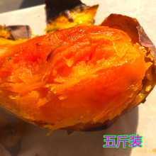 山芋沂蒙山纯天然农家番薯鲜生红薯黄心地瓜5斤装 农家新鲜红薯