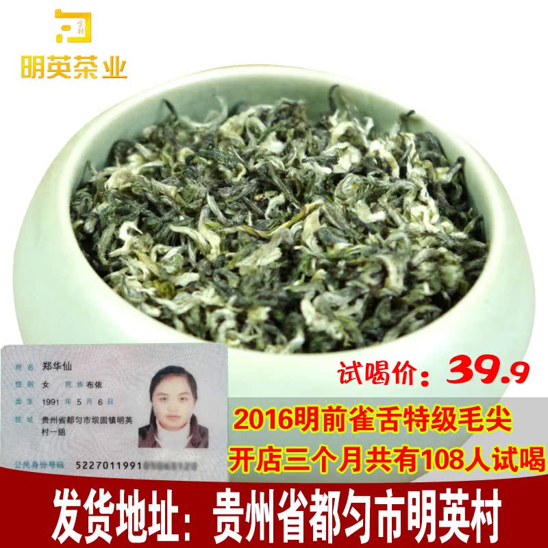 贵州茶叶都匀毛尖2016新茶明前春茶高山云雾特级散装绿茶50g试喝