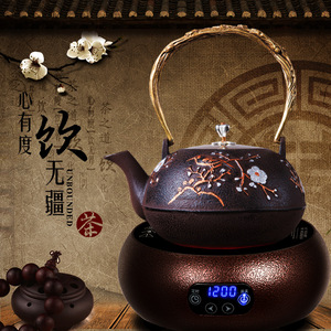 诺洁仕电陶炉茶炉小型迷你泡茶家用德国铁壶煮