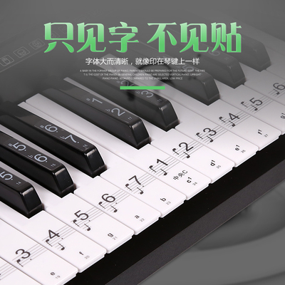 包邮送黑键贴88键 61键透明五线谱简谱琴键贴纸钢琴 电子琴键盘贴