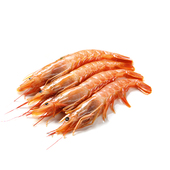 野生船冻 海鲜大虾 L1级 喵鲜生 2kg 阿根廷红虾