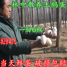 包邮 新鲜鹅蛋正宗处子纯天然原生态散养当天农家土鹅蛋孕妇去胎毒