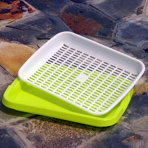 上种菜芽苗菜种子育苗盘套装 阳台水培蔬菜种