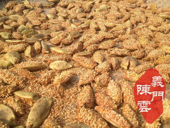 250g®ɽҰ޵ ľ ִĸͷ