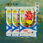包邮 控油定妆遮瑕散粉蜜粉宝宝爽身粉正品 紫罗兰沉香粉3袋150g