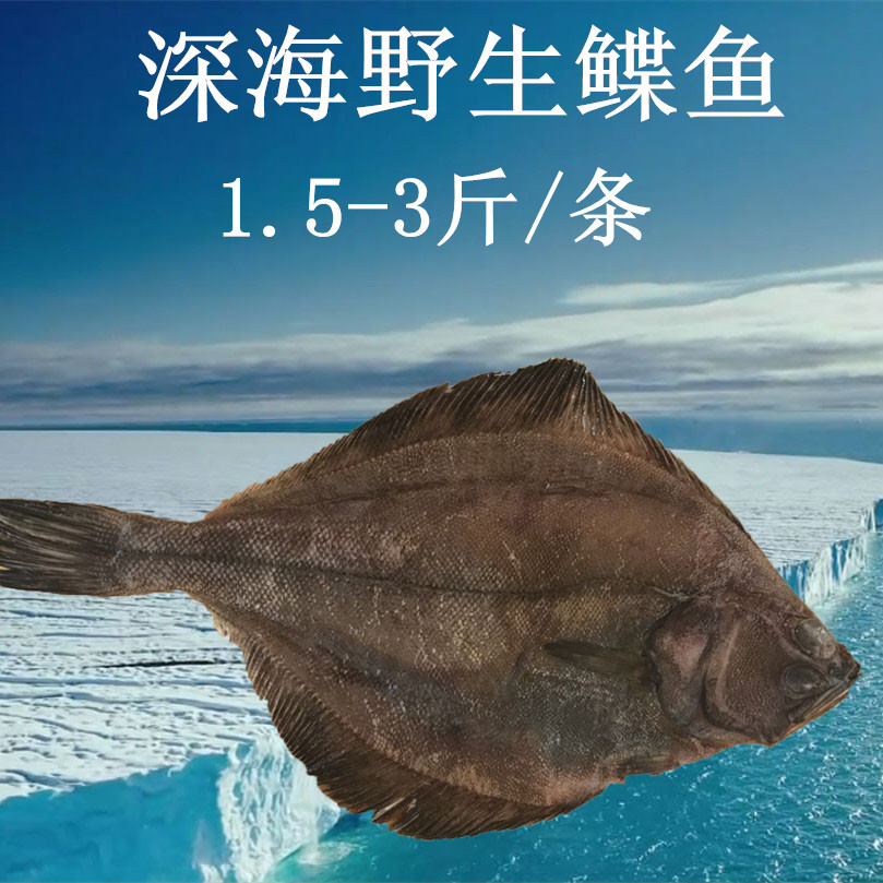 偏口鱼鲽鱼新鲜冷冻 深海 新鲜鲽鱼鲽进口冷冻牙片鱼冷冻偏口鱼