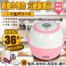 双层不锈钢迷你热饭器 可插电加热保温饭盒 好伙伴蒸煮电热饭盒