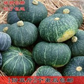 板栗味5斤2个装 包邮 东北 绿皮倭瓜 南瓜 谢花面 香甜粉面糯 窝瓜