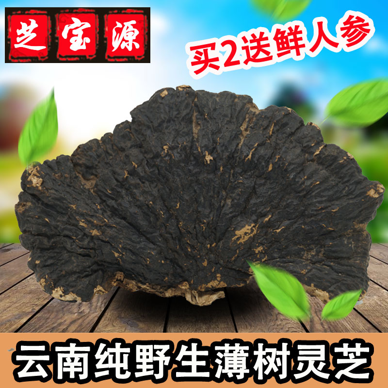 云南纯野生薄树灵芝 深山纯天然正品整枝薄树芝磨粉切片500克包邮