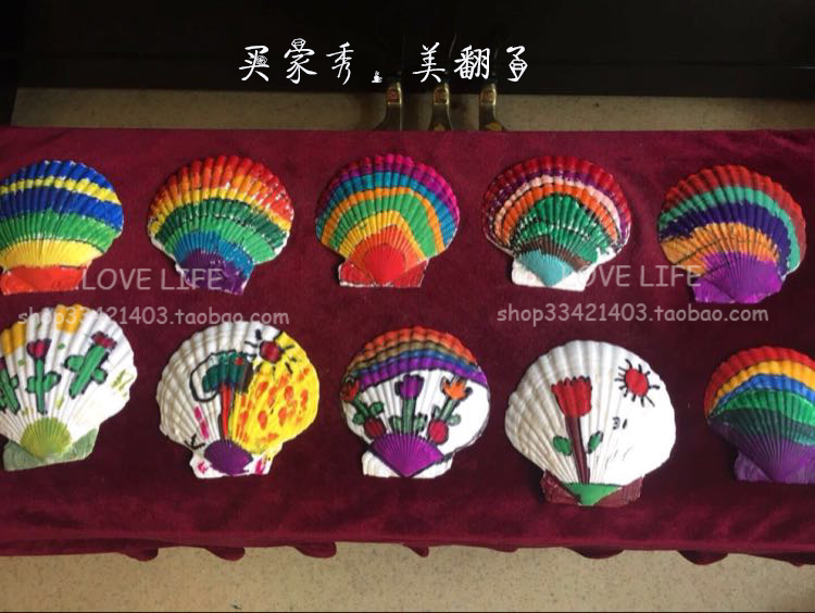 天然超大白色扇贝壳鱼缸造景幼儿园手工diy涂鸦绘画家居墙贴