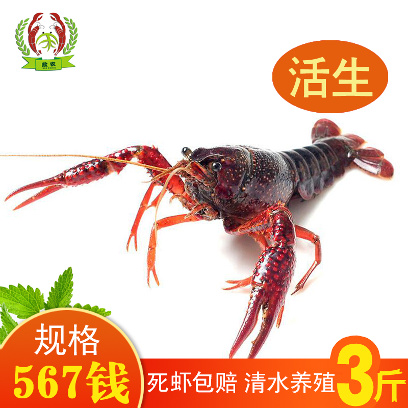 ϺʻСϺ˻ˮԲϺ37Ǯ˳