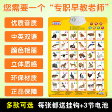 儿童看图识字挂图宝宝学说话有声挂图拼音英语字母表 包邮 2个