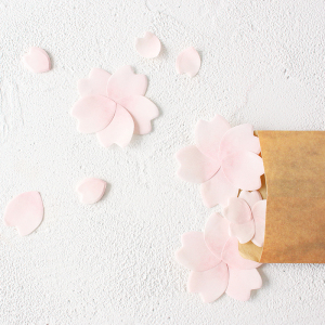 小清新花与叶系列便利贴