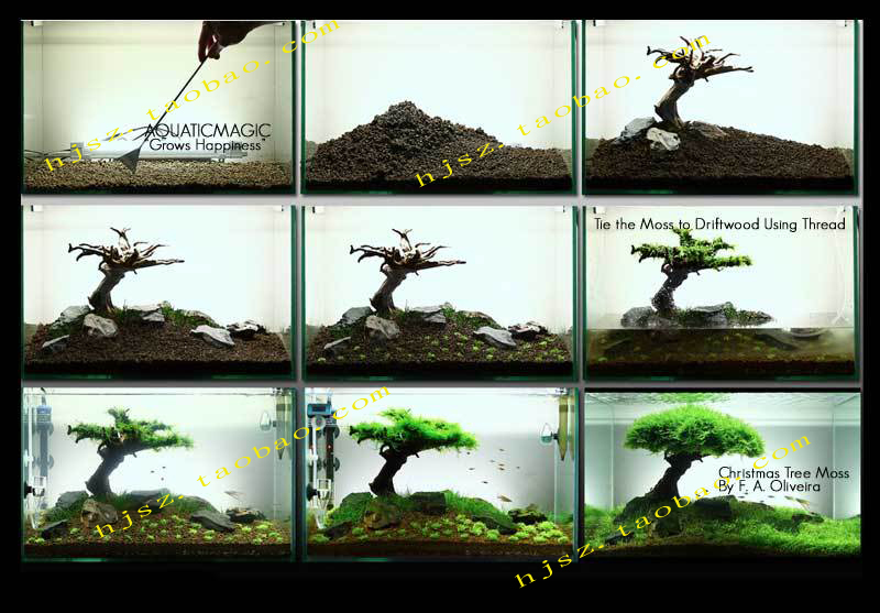 散装moss莫斯沉木莫斯树莫斯墙造景莫丝套餐鱼缸造景懒人水草鱼缸
