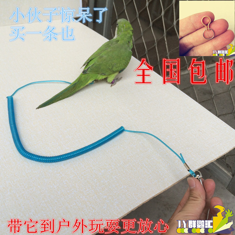 鹦鹉脚链外出绳飞行绳训练绳牵引绳脚链子鸟放飞绳子外带绳环脚环