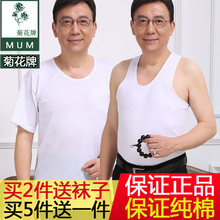 短袖 中老年跨栏白背心夏季男士 圆领汗衫 宽松大码 菊花牌纯棉老头衫