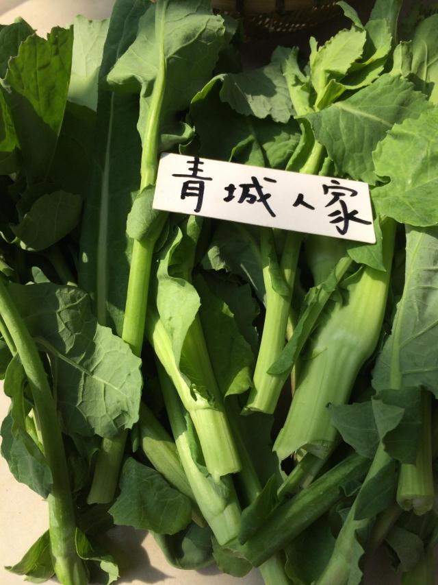 四川绿色蔬菜鲜嫩油菜苔绿芸苔菜台菜苔芥油菜苗全店混5斤包邮