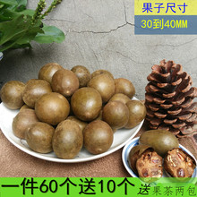 包邮 野生罗汉果 多送10广西桂林永福特产罗汉果花茶罗汉果干货传统