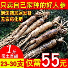 包邮 吉林新鲜人参带土东北人参 人参长白山泡酒人参野山参500克
