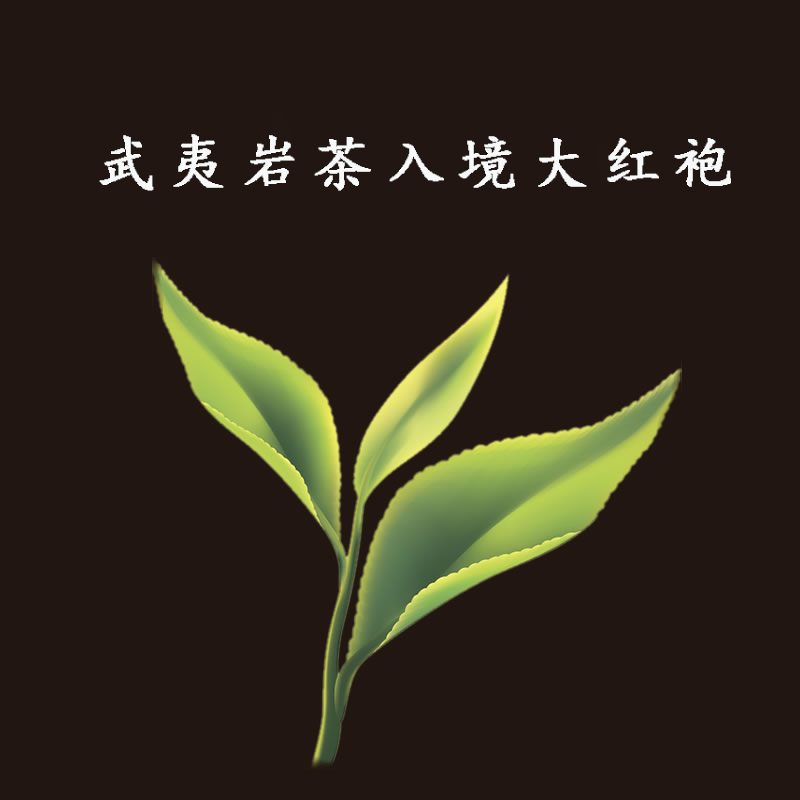 武夷山大红袍茶叶礼盒装100g特级浓香型肉桂武夷岩茶新茶正品包邮