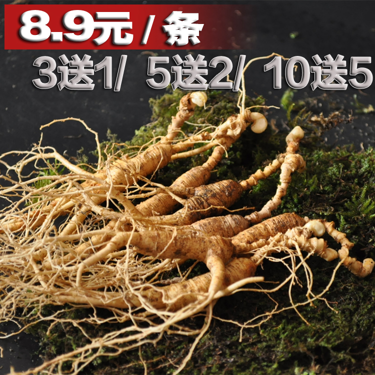 长白山人参新鲜移山参野生林下参苗带土东北野山参老残参泡酒鲜参