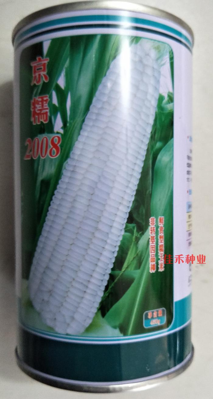 京糯2008 白糯玉米种子 鲜食糯玉米 高产 抗病 春夏播蔬菜 500g