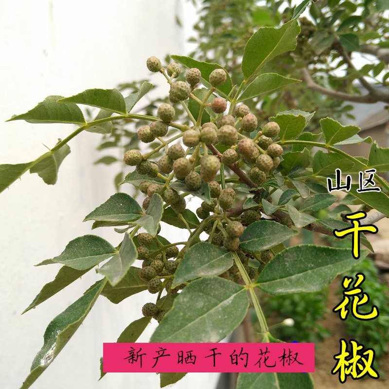 沂蒙小两口天然花椒火锅调味麻辣烫自然风干100g