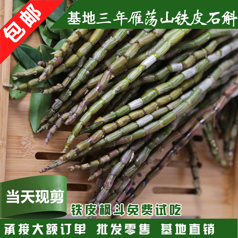 特价芸枫堂浙江乐清雁荡山铁皮石斛鲜条一斤有机仿野生枫斗