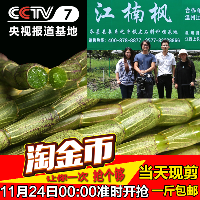 雁荡山营养滋补品铁皮石斛新鲜条礼盒苗盆栽霍山养生花茶干花枫斗