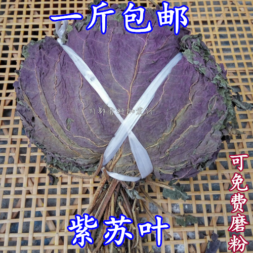 1斤包邮 紫苏叶500g 纯天然晒干 泡茶去腥烧鱼虾蟹必备香料