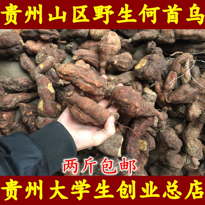贵州深山野生何首乌 中等大小 新鲜何首乌500g