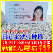 特级新货农家自产金沙小薏米福建仙游山意苡仁祛湿500g胜浦城贵州