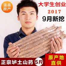怀涛河南焦作温县正宗垆土铁棍山药新鲜铁杆怀淮山药大学生山约