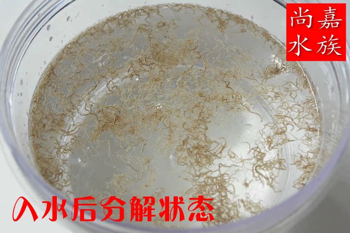 鱼虫干水蚤小型热带观赏鱼饲料1斤孔雀鱼红绿灯鱼食蹦蹦虫500g