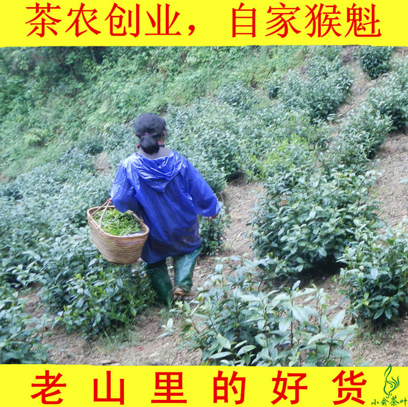 安徽黄山纯天然正宗猴坑太平猴魁 2016新茶叶特级绿茶礼盒装250g