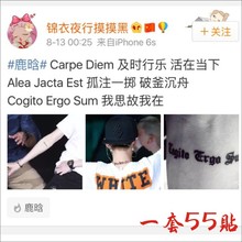 手臂 全国 包邮 我思故我在 手腕 手肘 鹿晗明星纹身贴拉丁文