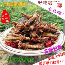 包邮 新鲜油炸香辣大蚂蚱蝗虫昆虫蚱蜢山东沂蒙特产美食小吃蚕蛹