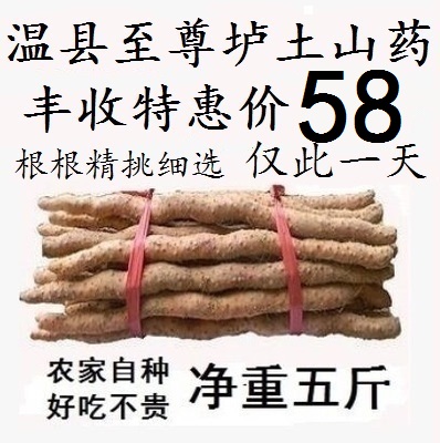 怀府福地正宗河南焦作温县至尊垆土铁棍山药怀淮山药铁杆新鲜包邮