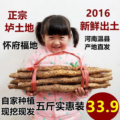 2016怀府福地正宗河南焦作温县新鲜垆土铁棍山药铁杆怀淮山药包邮
