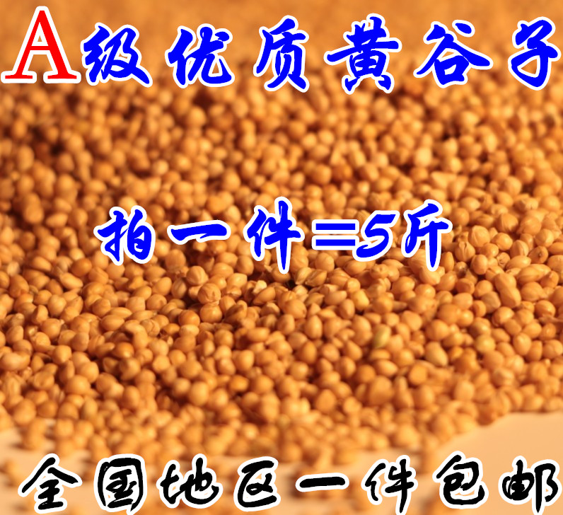 A级黄谷子带壳小米粟谷 虎皮玄凤牡丹鹦鹉 文鸟鸟粮鸟食饲料包邮