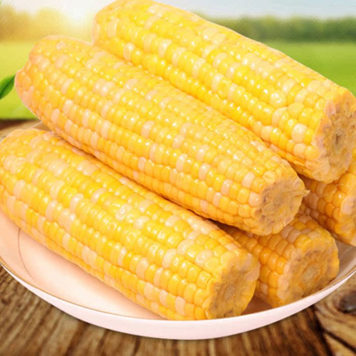 八两阳光 开袋即食水果玉米非转基因 熟玉米棒 健康代餐真空250g