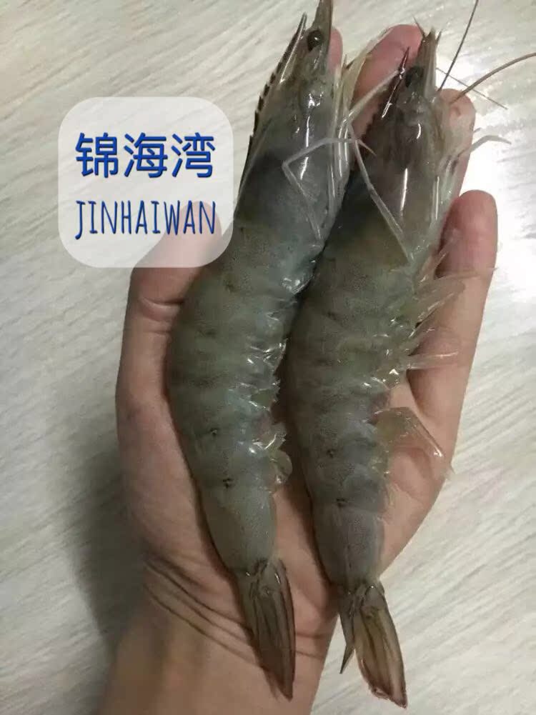 正品[锦州 蛋糕 新语]锦州蛋糕心语网站评测 锦