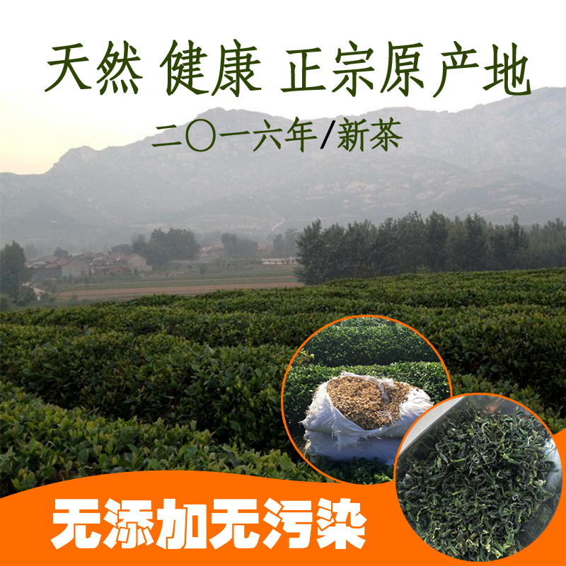【天天特价】日照绿茶新茶散装特级农家嫩芽绿茶袋装茶叶250g包邮